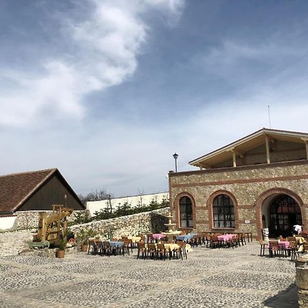 Conacul Maria Theresa Orlat Luaran gambar